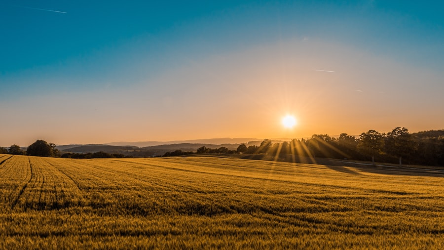 Acreage Land & House Sales